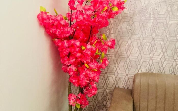 Deluxe Studio Retreat | By Aqqua Suites