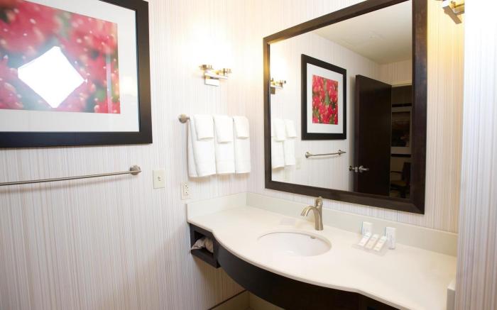 Hilton Garden Inn Buffalo Downtown
