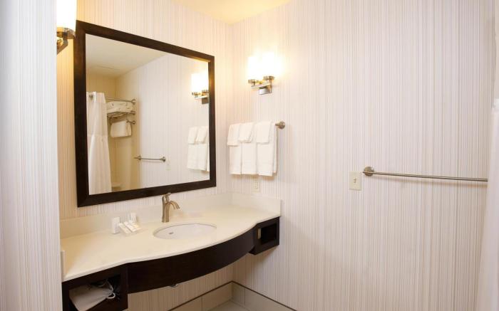Hilton Garden Inn Buffalo Downtown