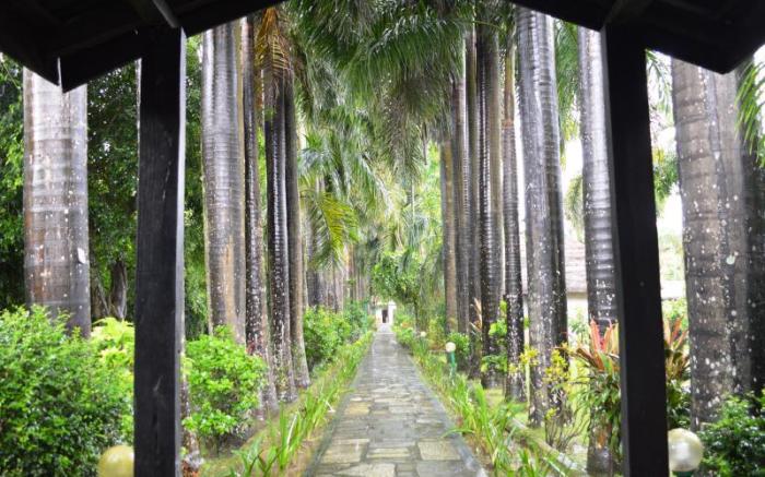 Chitwan Paradise Hotel