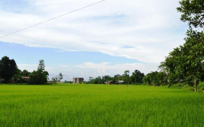 Chitwan Paradise Hotel