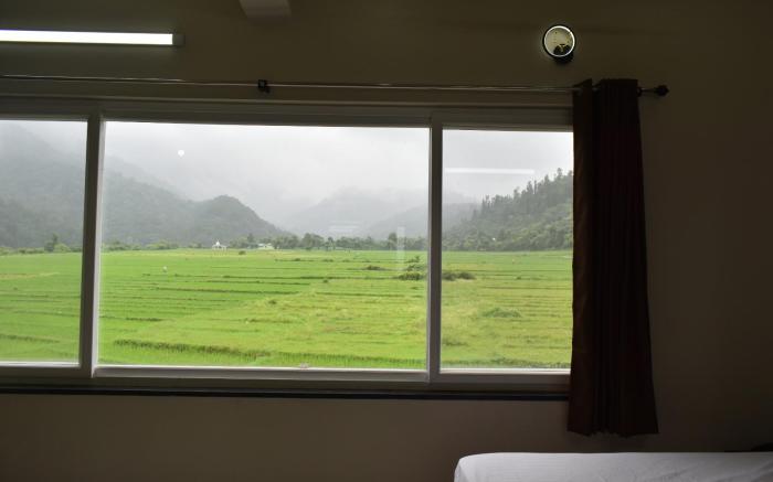 dreamy orchard -myst 