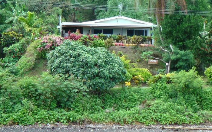 Gecko Lodge Fiji