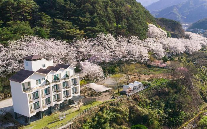 Jirisan Arm Pillow Pension