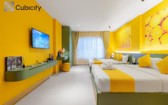 Cubicity Metro House