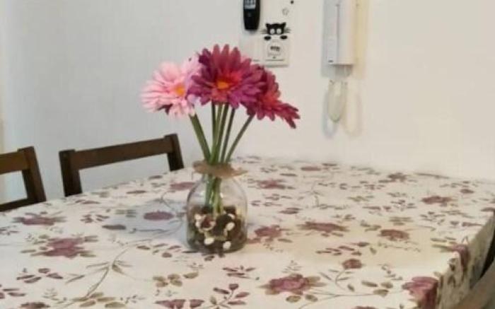 HOT! Mesahill 500mbps wifi + Smart TV