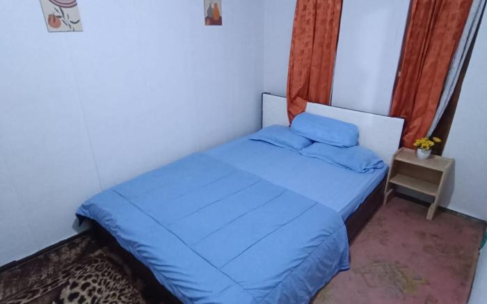 Homestay dieng backpaker