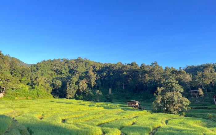 Chibacall ชิบะคอล Karen Mountain Hideaway Homestay