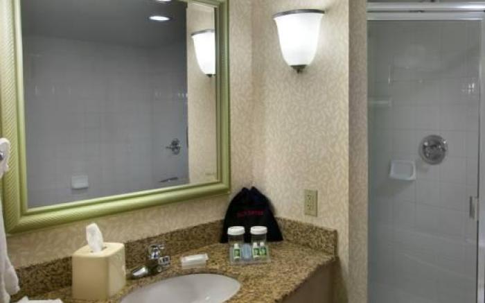 Hilton Garden Inn Detroit Downtown