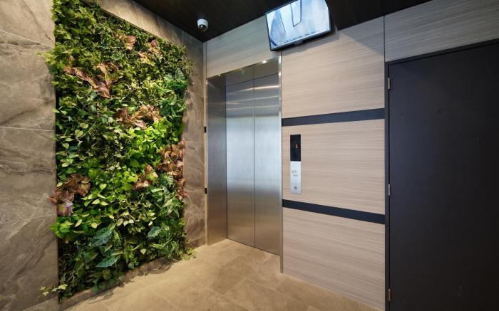 MODERN PALAZZO Sumiyoshi #501