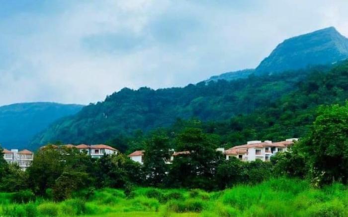 Hillside Hangout Chilling Zone - a place to chill.