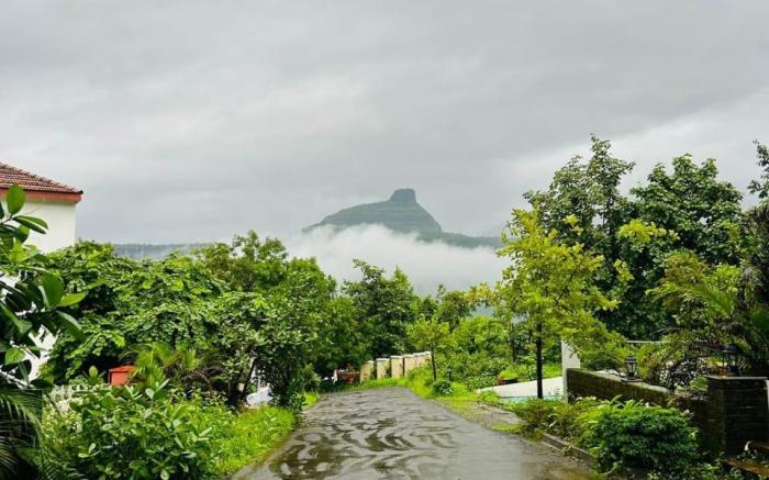 Hillside Hangout Chilling Zone - a place to chill.