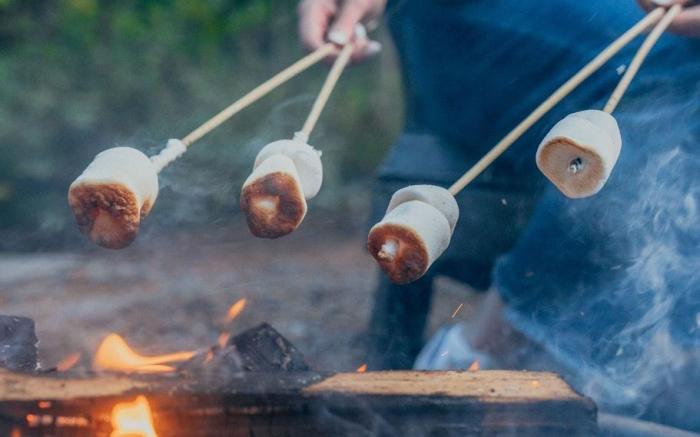 Postcard Cabins Hill Country