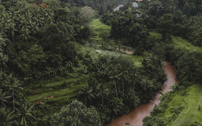 Nakula -Tropical Elegance on Ayung Ridge-2BR villa