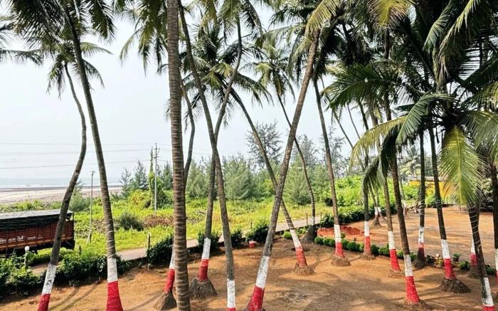 Surali Wadi Beach Resort 