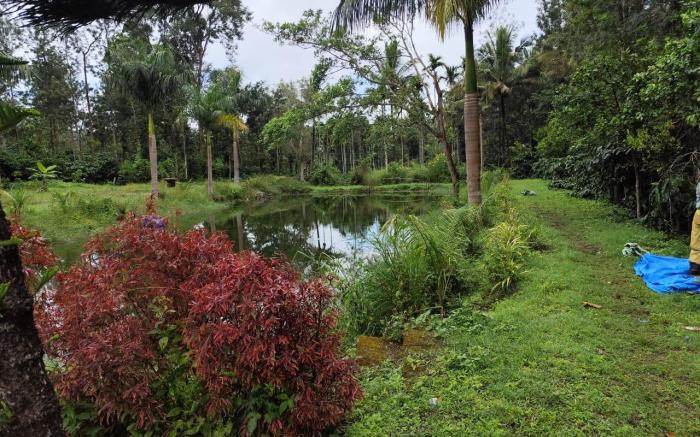 Rising Surya Homestay