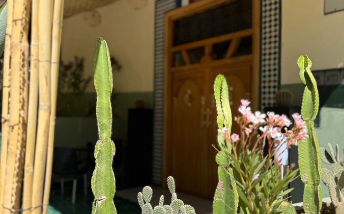 Riad Citronnier & Spa