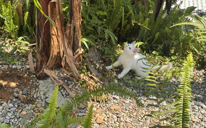 Whisper Stay I The Garden Home