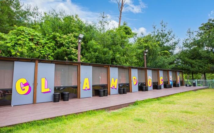 Glamdog Dog Pension Yangyang Branch