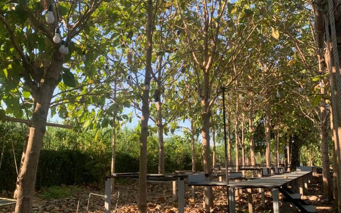 เต้นท์ แคปปิ้ง ติดแอร์ (พกพา)