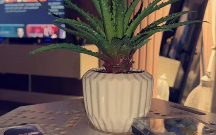 Elegant studio with a hotel character