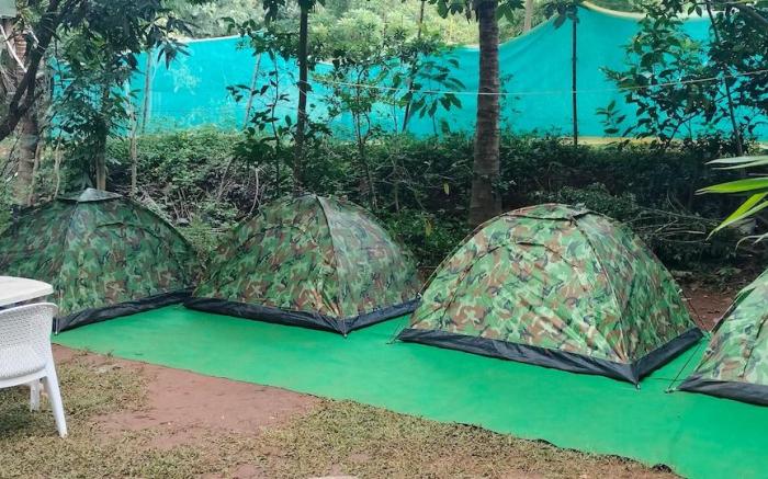 Rest@nest
good for couple
Nature & Relaxation Vib