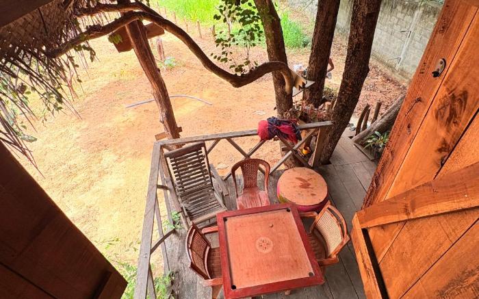 Elephant point tree house