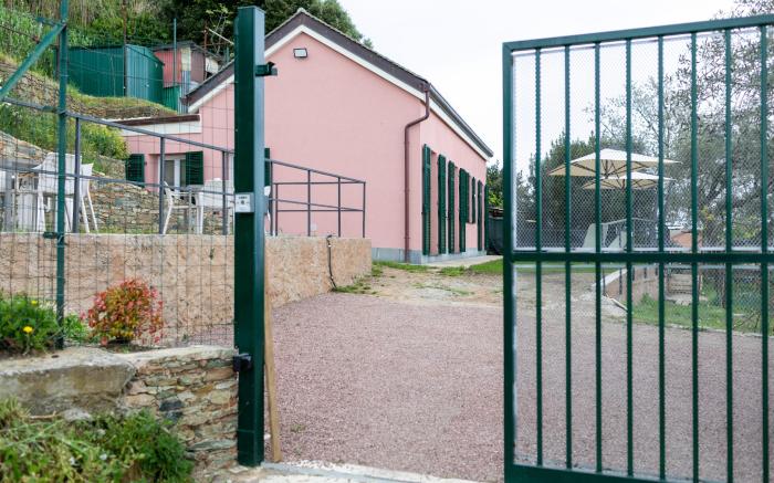 La casa tra gli ulivi 