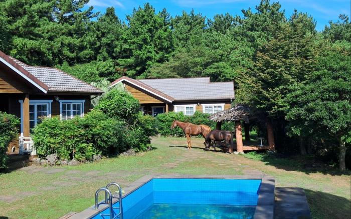 대성휴양빌리지