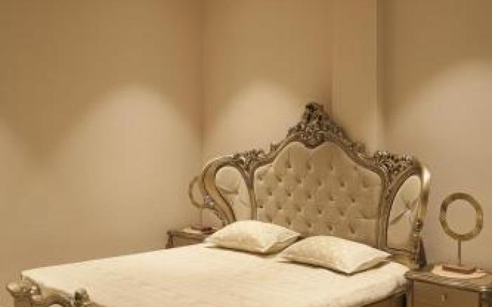 Hotel Air Admire - IGI Airport Delhi