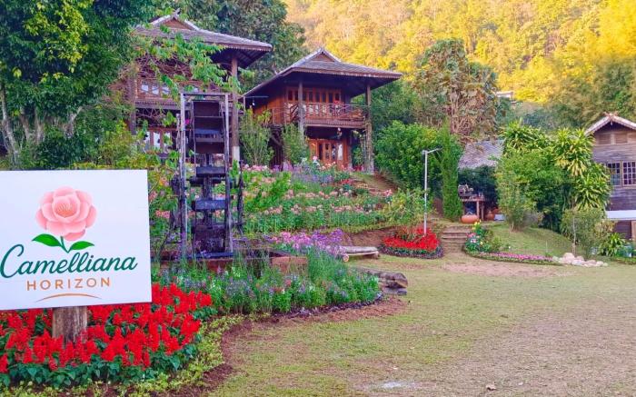 Camelliana Horizon Pongyang