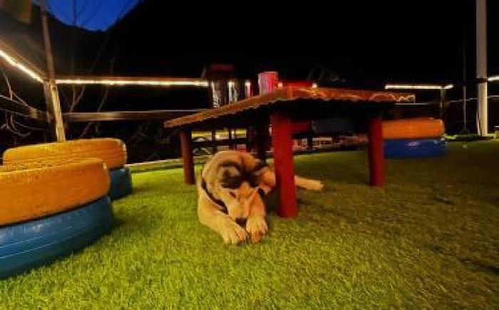 Nirvana by Oztel - Backpacker Hostel