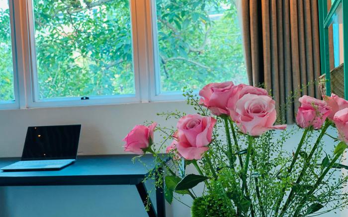 Carol Hanoi Oldquarter Hoan Kiem