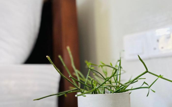 Villa Kam Lanka, Galle