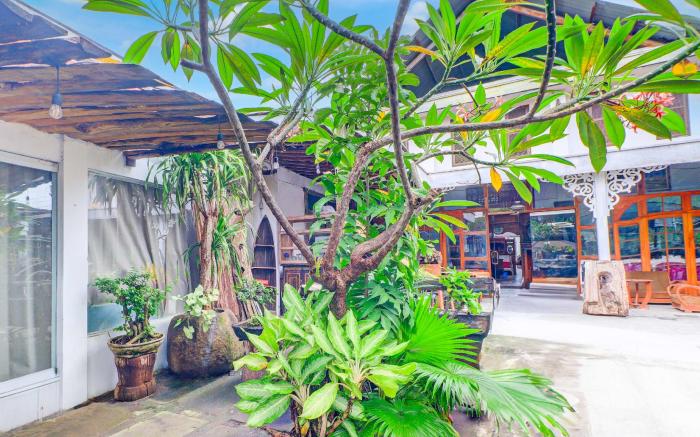 Dancenter Sanur Near Bali Exotic Marine Park