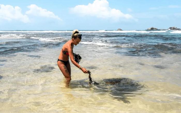 Cinnamon Tree Resort Akurala-Hikkaduwa