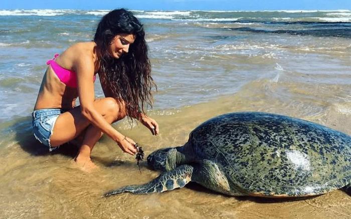 Cinnamon Tree Resort Akurala-Hikkaduwa