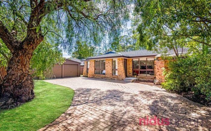 Welcome to “The Nest”