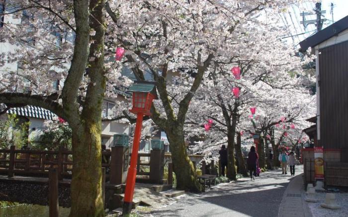 Kinosaki Yumekoyado Tenbouen