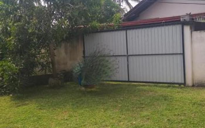 Secret Mirage Mirissa