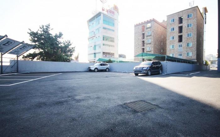 Busan Myeongji Brown Dot