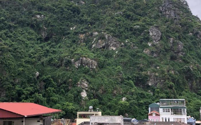 Nha Xanh Ninh Bình Homestay