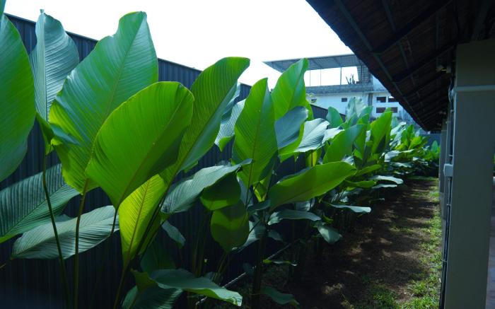 4 bedroom Pool Villa in Thodupuzha- Heliconia Inn