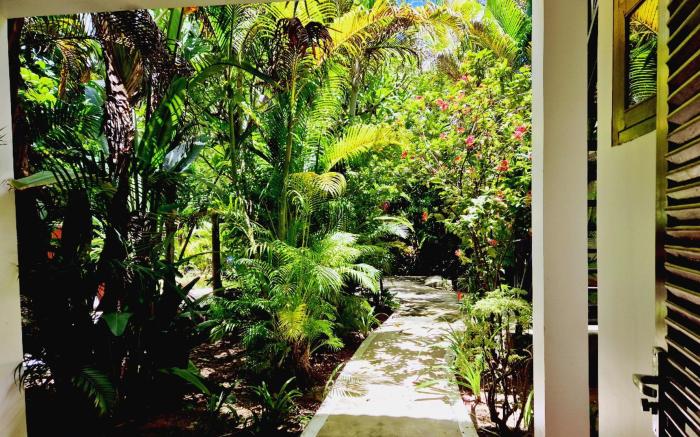 Paradise K Forest Hotel