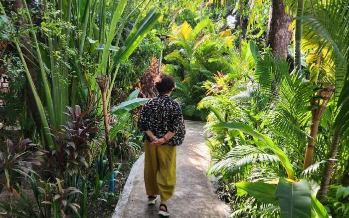 Paradise K Forest Hotel