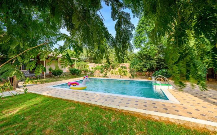 The Bagheera Heritage