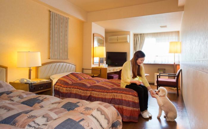 Izumigo Toba Dog Paradise Hotel