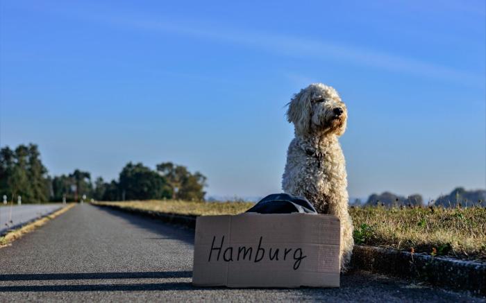 Holiday Inn - the niu, Fusion Hamburg St. Georg By IHG