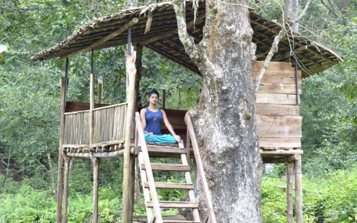 The Woods Resorts Wayanad