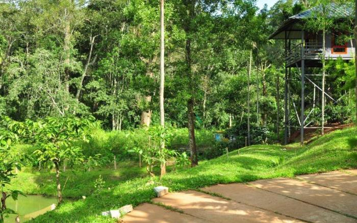 The Woods Resorts Wayanad